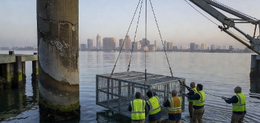 Porto de San Diego amplia incubadora para resiliência costeira