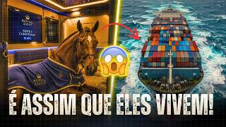 Os 7 tipos de navios gigantes de carga que movem o comércio global